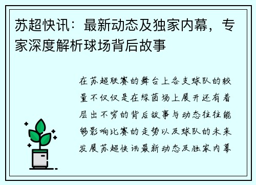 苏超快讯：最新动态及独家内幕，专家深度解析球场背后故事