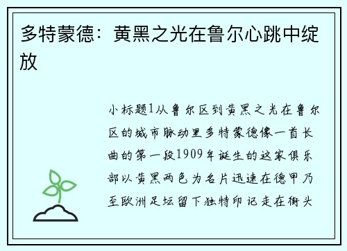 多特蒙德：黄黑之光在鲁尔心跳中绽放